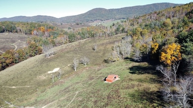 1170 Pilgrim Fork Rd, Elk Creek, VA 24326 - photo 2