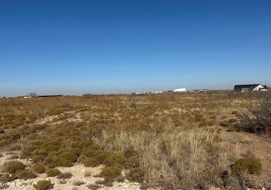 TBD County Road 300 K, Seminole, TX 79360 - photo 2