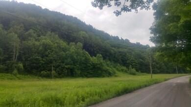 0 Chandler Rd, Northfield, VT 05663 - photo 2