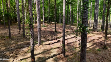 DJI_20250605160535_0677_D.00_00_39_22.St