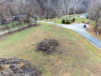 TR495 River Rd, Perryopolis, PA 15473 - photo 4