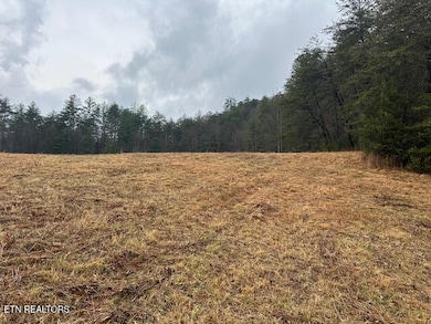 680 Bug Branch Rd, Del Rio, TN 37727 - photo 7