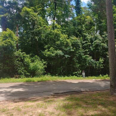 5.95 A0078 Brown James, Magnolia, TX 77354 - photo 5