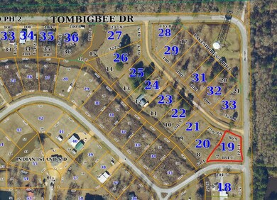 Lot 7