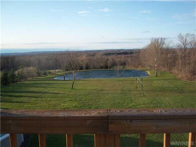 View. Your new backyard -- frog pond hidden from v