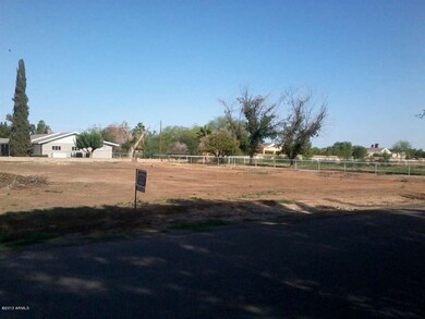 Irrigated Pasture