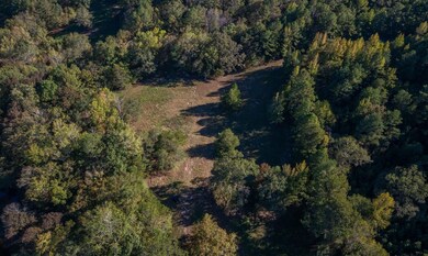 0 Sawyers Cove Rd unit 25373983, Calera, AL 35040 - photo 6