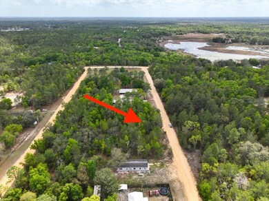 0 Patch St, Interlachen, FL 32148 - photo 7