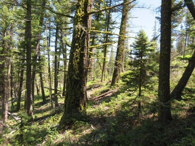 Silverstar Quartz Hill Rd, Wise River, MT 59762 - photo 3