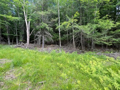 TBD Boulder Brook Lot 13b Rd, Windham, NY 12496 - photo 4