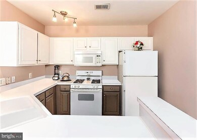 8176 Cockburn Ct unit 303, Lorton, VA 22079 - photo 4