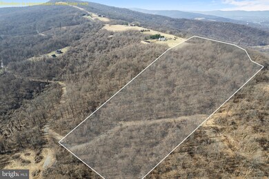 LOT 3 Old Orchard Rd, Happy Creek, VA 22642 - photo 4