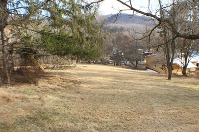 183 Slaymaker Ln, Cass, WV 24927 - photo 5