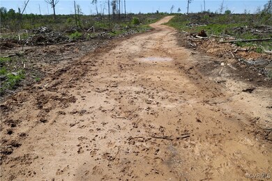 Abundant game sign is noticeable in the roadway.