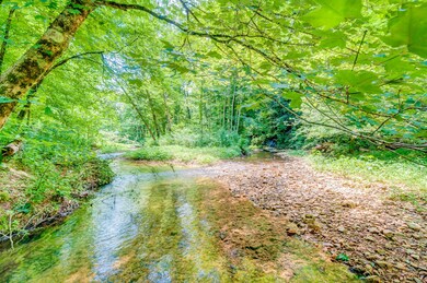 0 Little Swan Creek Rd, Hohenwald, TN 38462 - photo 4