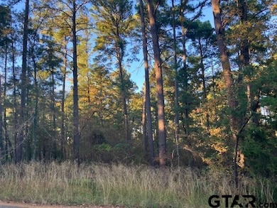 1657 Pineview Ln, Hideaway, TX 75771 - photo 3