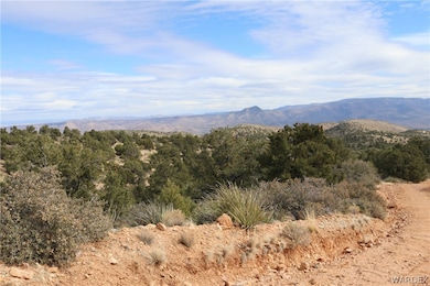 TBD E Mountain Springs Rd, Hackberry, AZ 86411 - photo 5