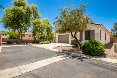 Low Maintenance Front Yard