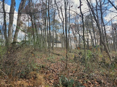 0 King Beach Dr unit 225043317, Howard Township, OH 43028 - photo 2