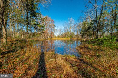 217 Messick Rd, Strasburg, VA 22657 - photo 3