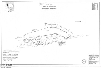 ladys island tract map