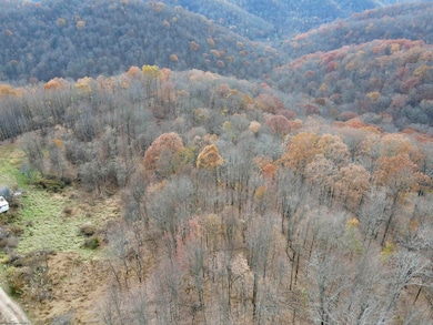 1945 Wilson Ridge Rd, Duck, WV 25063 - photo 3