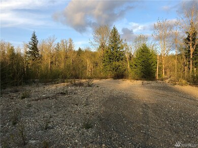 37404 304th Ave SE, Enumclaw, WA 98022 - photo 6