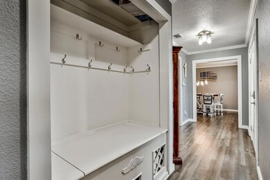 509 Green Meadow Dr, Boyd, TX 76023 - photo 5