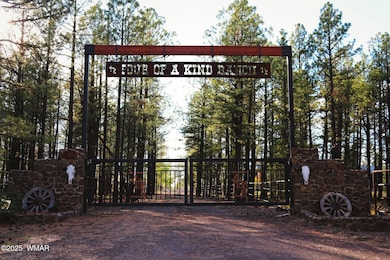 422B Sponseller Siding Rd, Lakeside, AZ 85929 - photo 3