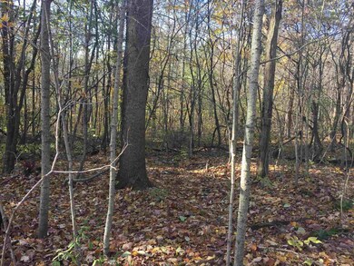 3580 S Old Clifty Rd, Bloomfield, IN 47424 - photo 2