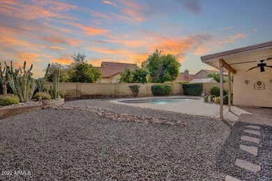 13835 N 19th Pl Phoenix - Backyard View