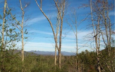 Additional View