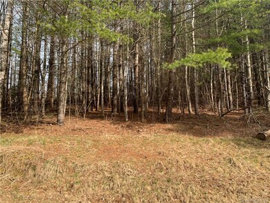 0 Doan Town Rd, Cane River, NC 28714 - photo 2