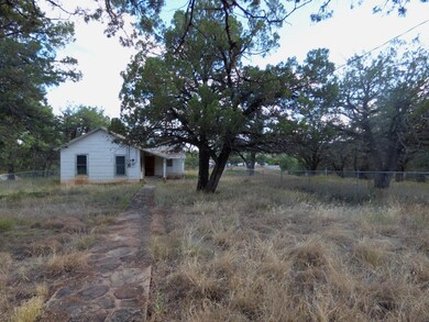 Fenced yard & walkway to house