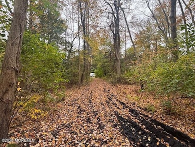 23 Kuzyk Rd, Plumsted, NJ 08514 - photo 5