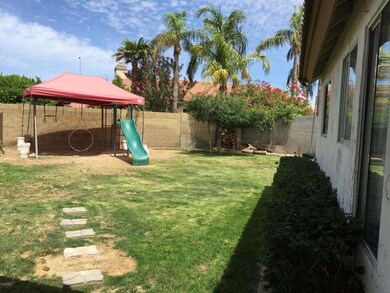 BACK YARD