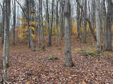 0 County Highway 10 unit R1653302, East Meredith, NY 13757 - photo 6