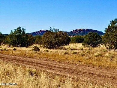 2653 Denny Dr, Ash Fork, AZ 86320 - photo 2