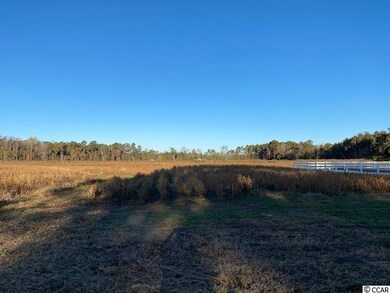 27.9 Acs Highway 65, Conway, SC 29526 - photo 5