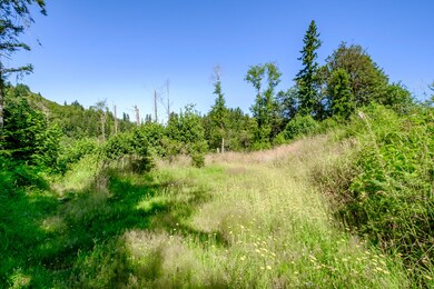Main Photo - 3