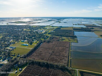 Tbd Napoleon St, Mamou, LA 70554 - photo 5