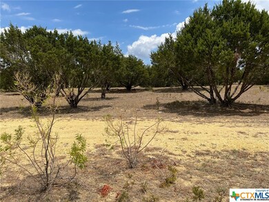 1352 Kirk Dr, Copperas Cove, TX 76522 - photo 7