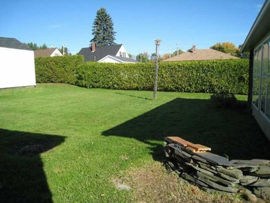 Yard/Garden. Privacy hedge