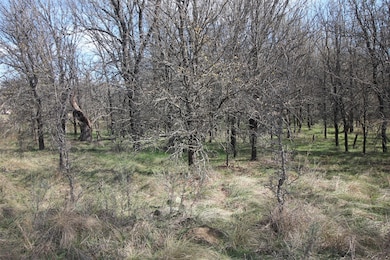 Lot 21 Cheyenne Dr, Bridgeport, TX 76426 - photo 2