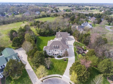 The property line extends past the trees and includes the meadow behind.