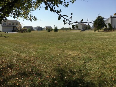 Yard/Garden