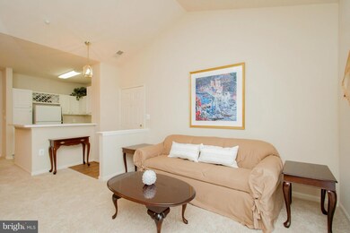 4135 Fountainside Ln unit C303, Fairfax, VA 22030 - photo 5