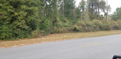 00000 N Lemacks St, Walterboro, SC 29488 - photo 2