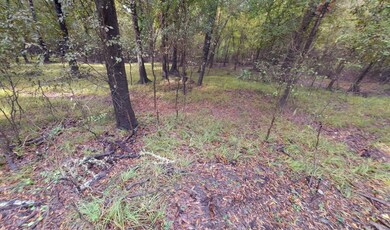 County Road 2121, Cleveland, TX 77327 - photo 7