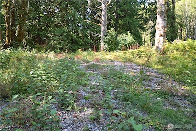 0 U S Highway 2, Baring, WA 98224 - photo 3